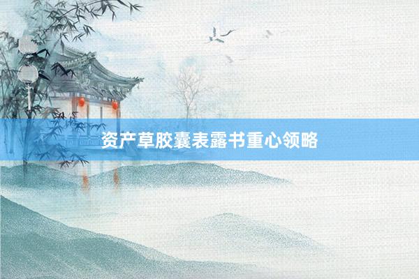 资产草胶囊表露书重心领略