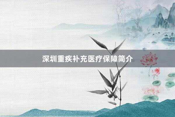 深圳重疾补充医疗保障简介