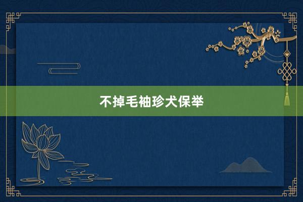 不掉毛袖珍犬保举