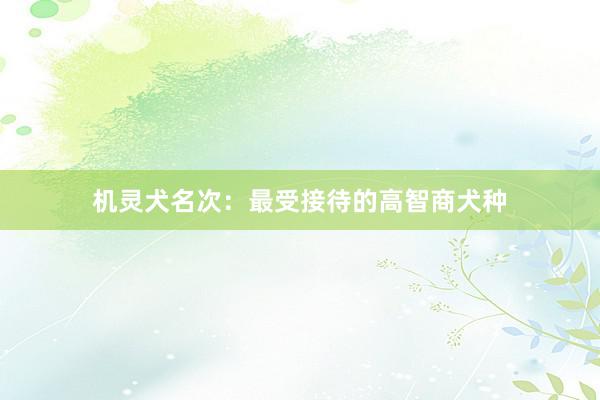 机灵犬名次：最受接待的高智商犬种